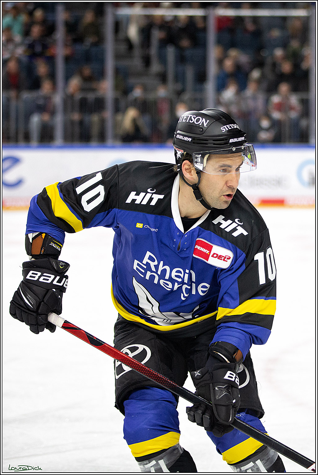 PENNY DEL; Koelner Haie- Fishtown Pinguins Bremerhaven; Koeln, 25.11.2021